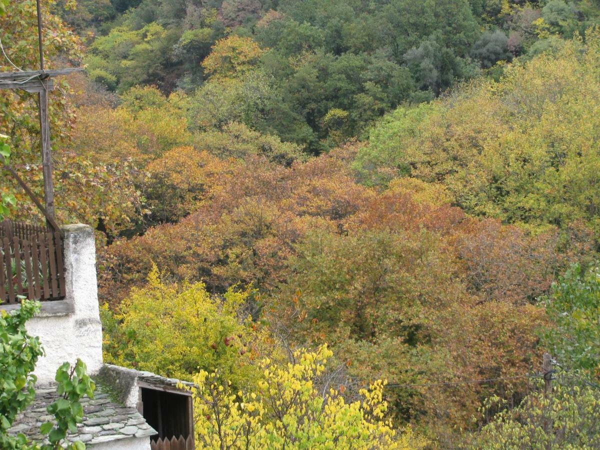 Koukourava Garden Villa