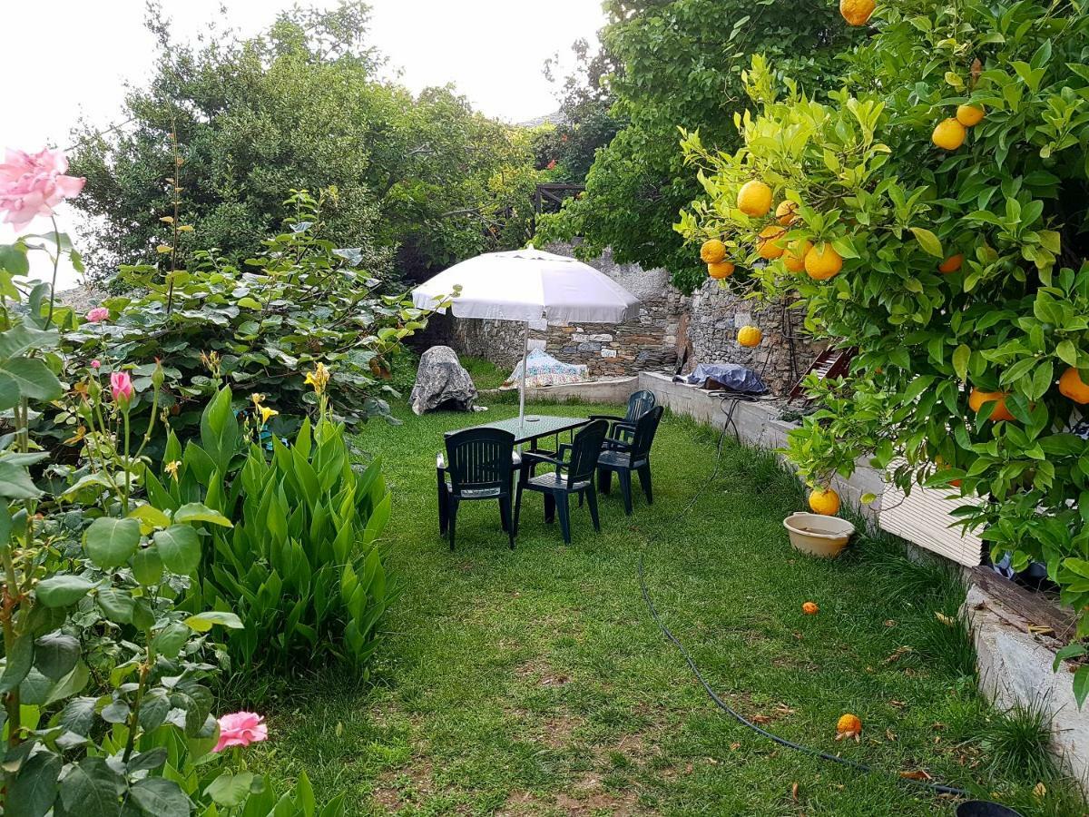 Villa Koukourava Garden *